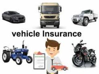 Motor Insurance